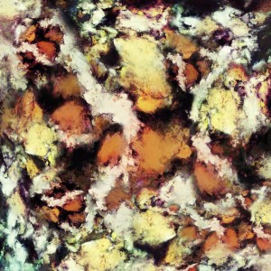 Fractured viewpoint